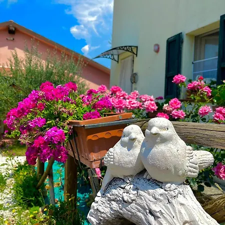 Arcobaleno Assisi Agroturismo
