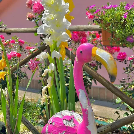 Κατάλυμα σε φάρμα Arcobaleno Assisi