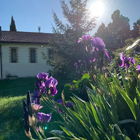 Arcobaleno Assisi Agroturismo *